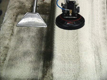 Carpet Cleaners Daytona Beach,FL