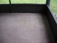 after carpet cleaning picture