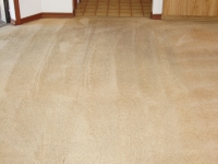 after smoke stained carpet picture