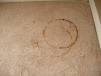 rust stained carpet before picture